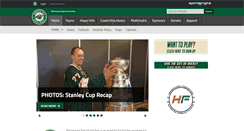 Desktop Screenshot of mnspecialhockey.org